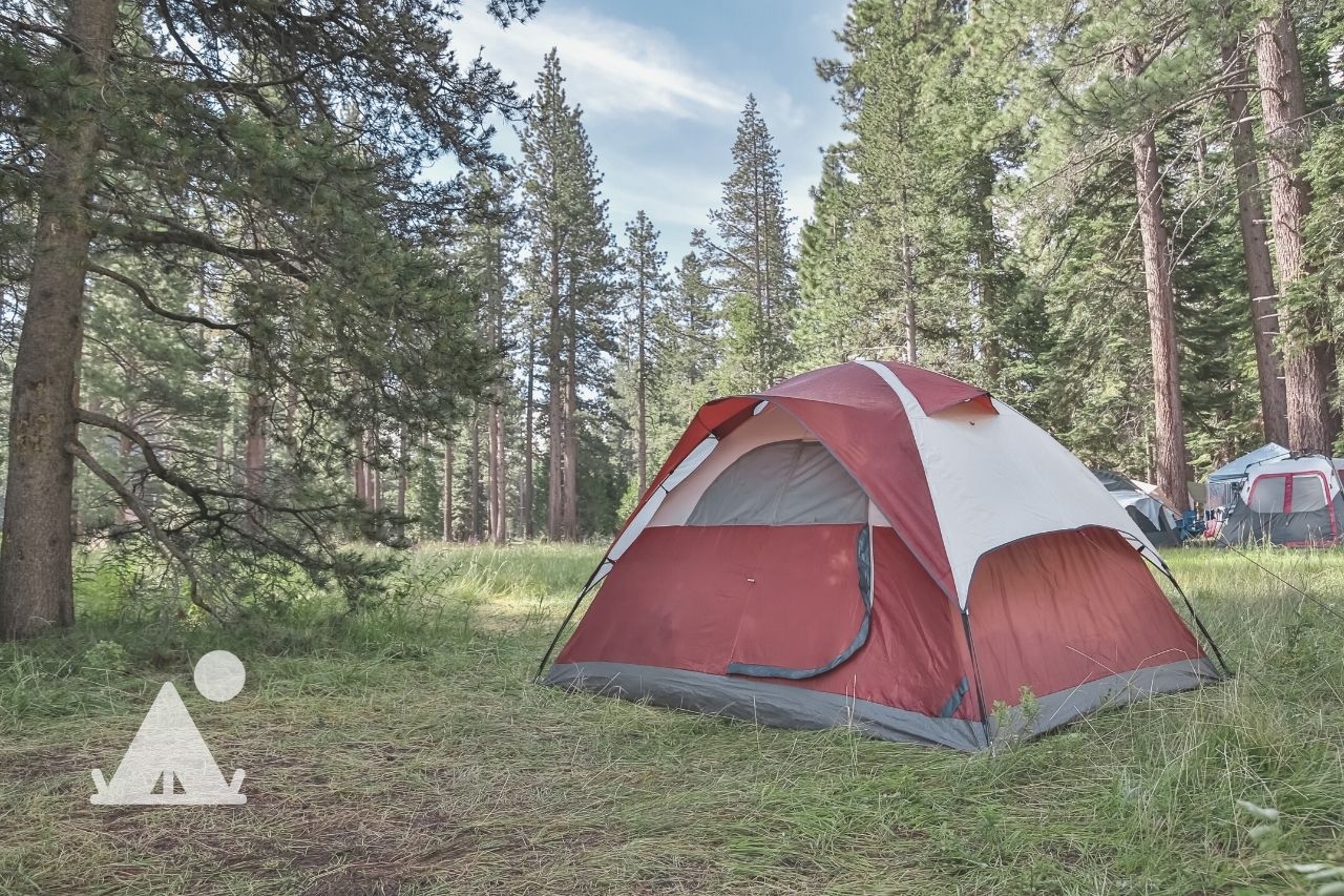 Can you clean a Moldy tent