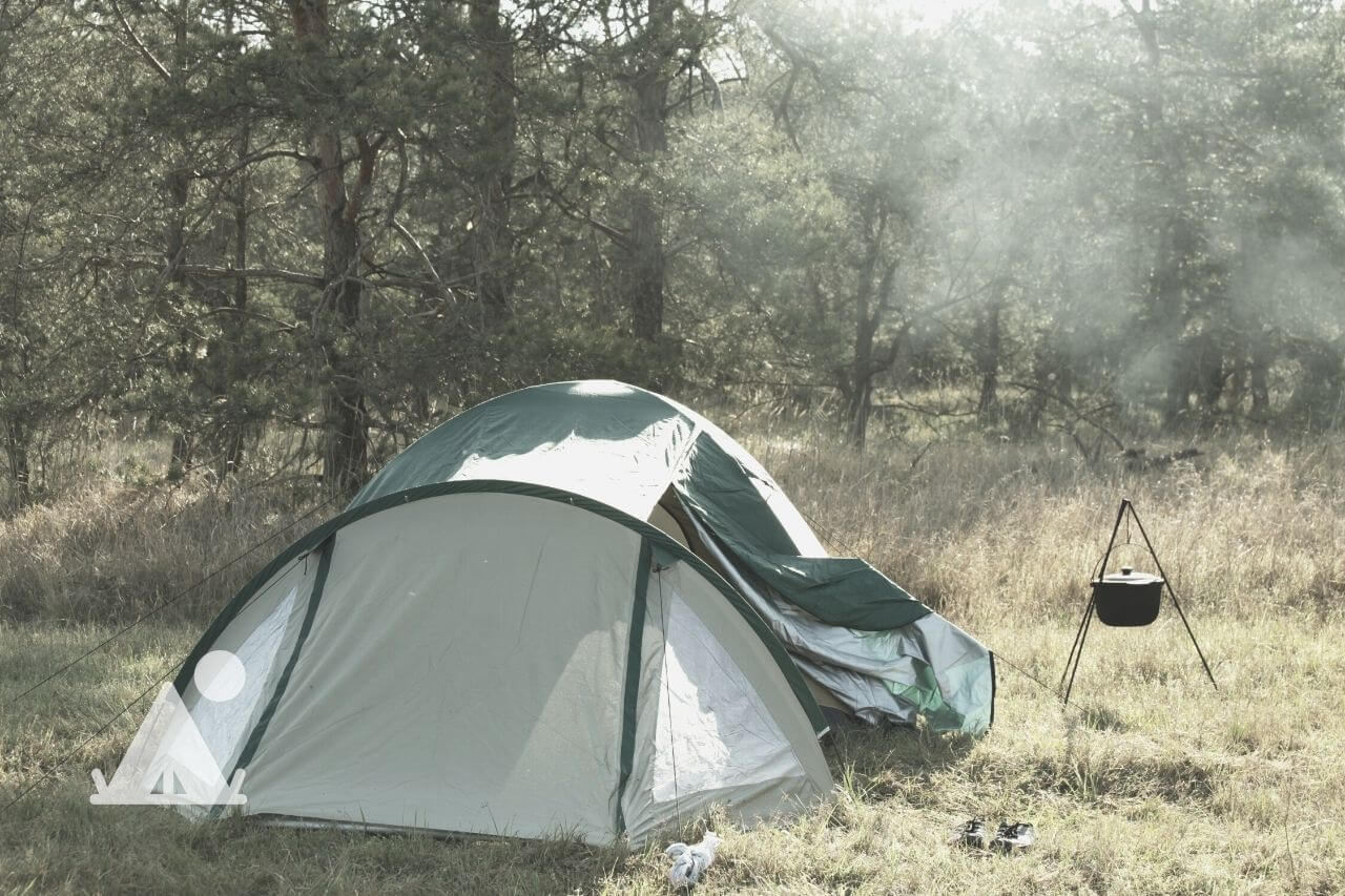 What Attracts Spiders Into The Tent