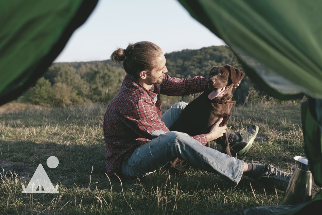 Top 10 best hiking and camping dog breeds