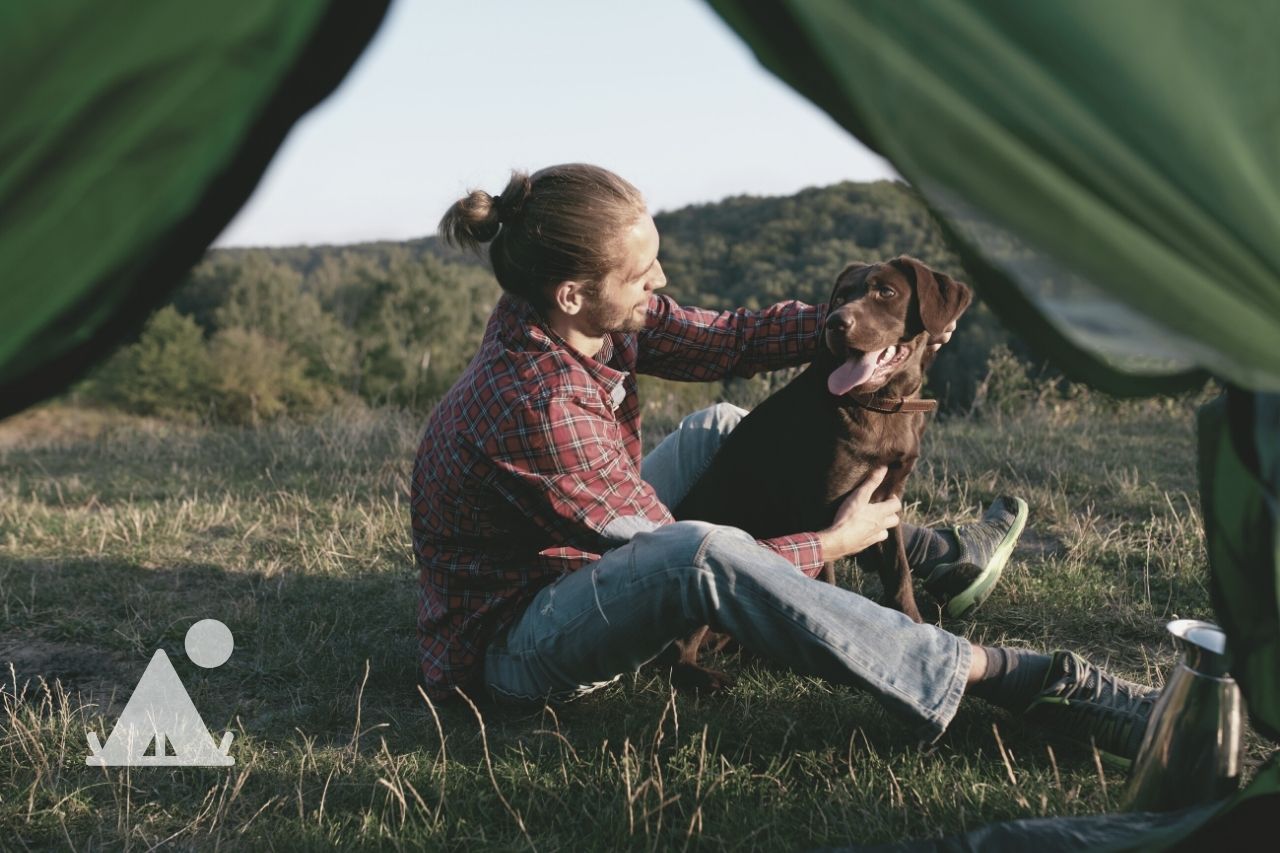 Is It Okay To Take My Dog Camping